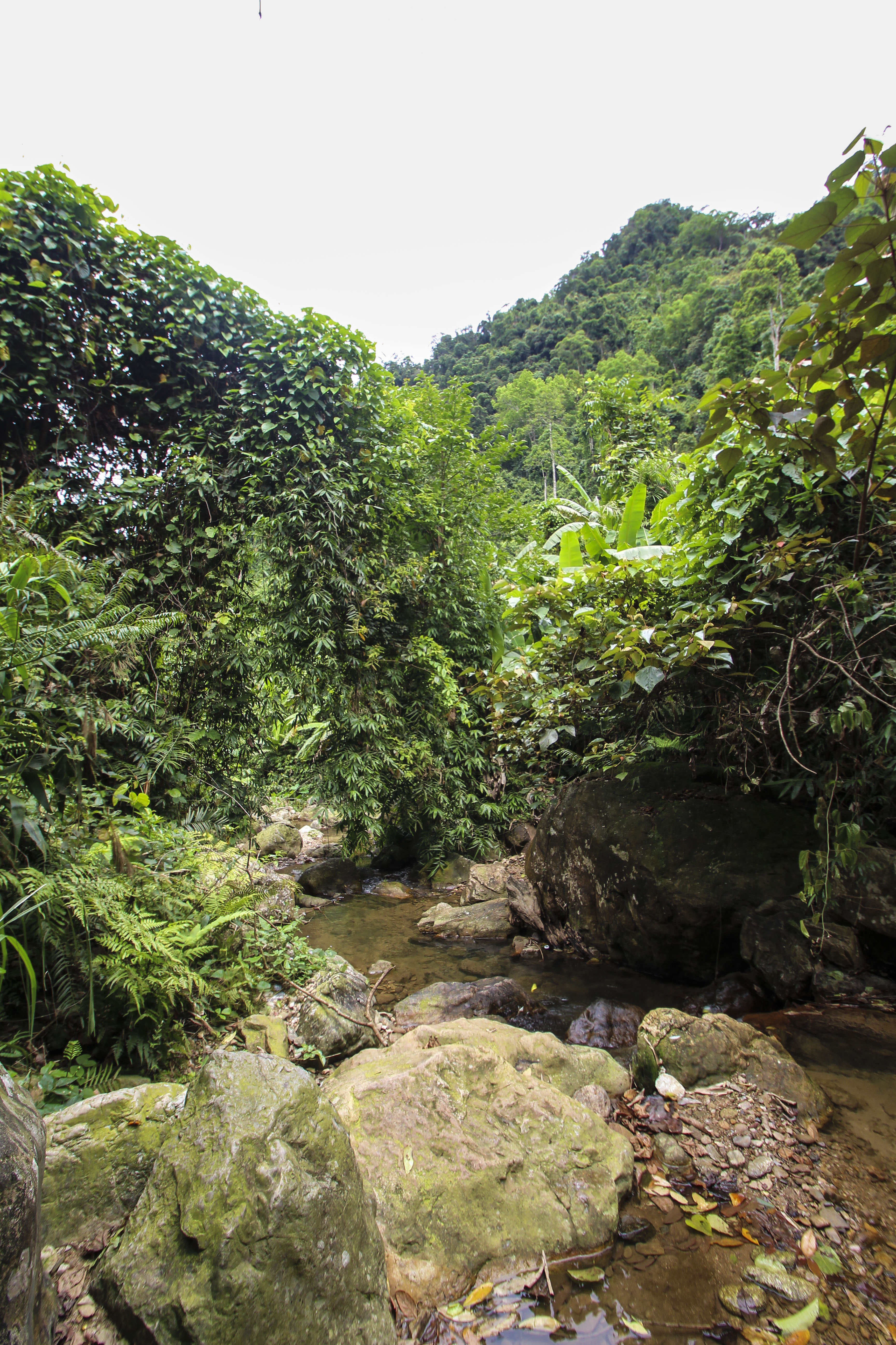 Into Phong Nha Ke Bang Natiional PArk, Vietnam