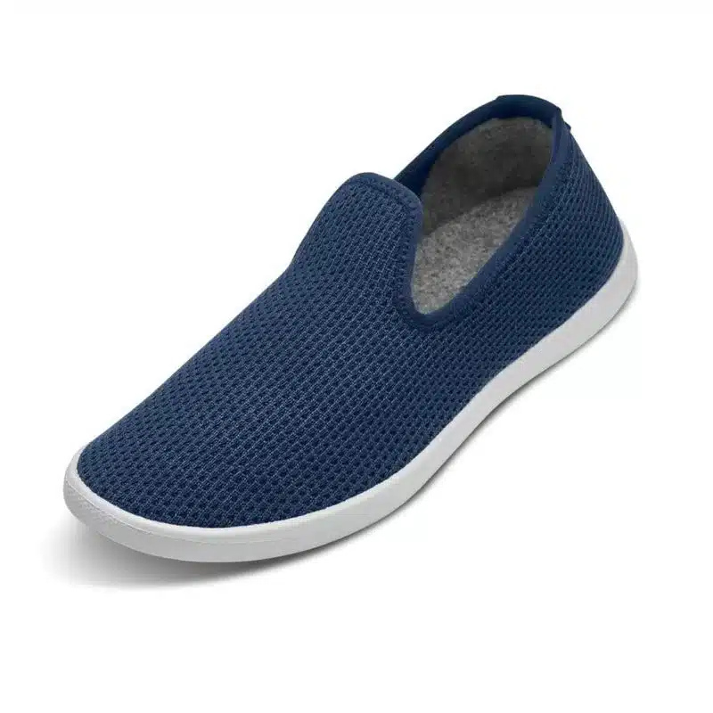 allbirds tree loungers