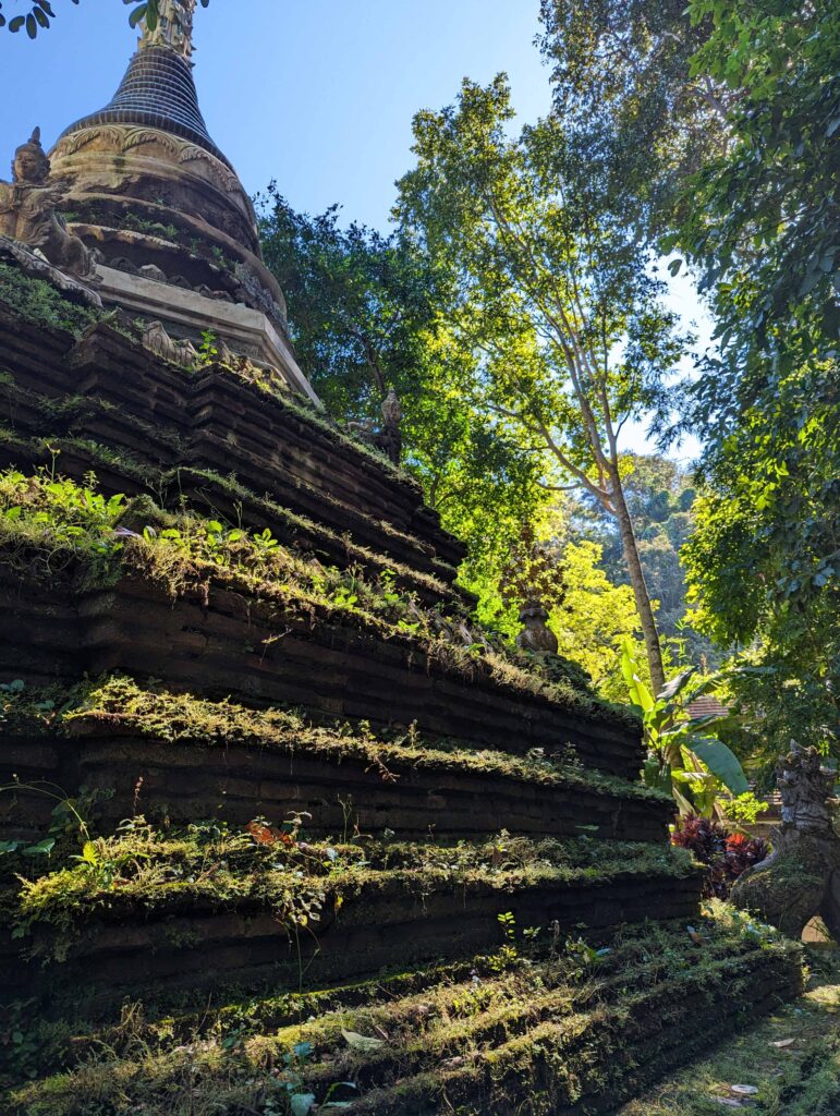 Mossy rock at Wat Phra Lat, Chiang Mai, Thailand